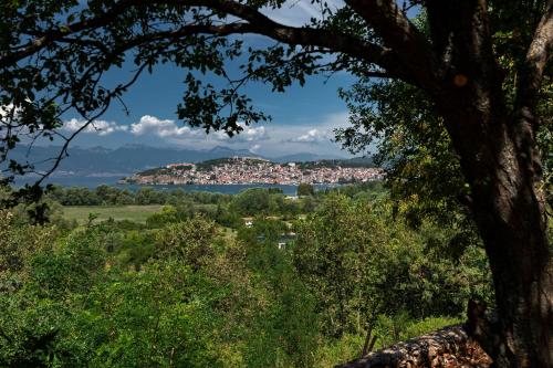 a view of a city from a tree at Bitrak House Megdani in Ohrid