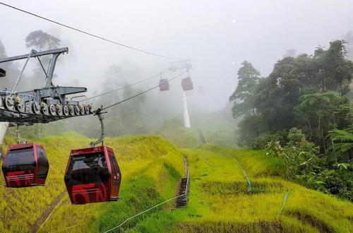 dos teleféricos rojos volando sobre un campo verde en G-Luxe By Gloria Genting Highlands, en Genting Highlands