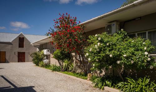 ein Haus mit einem roten blühenden Baum neben einer Auffahrt in der Unterkunft Calvinia Hotel in Calvinia