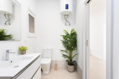 a bathroom with a toilet and potted plants at Vistamar beach in San Andrés