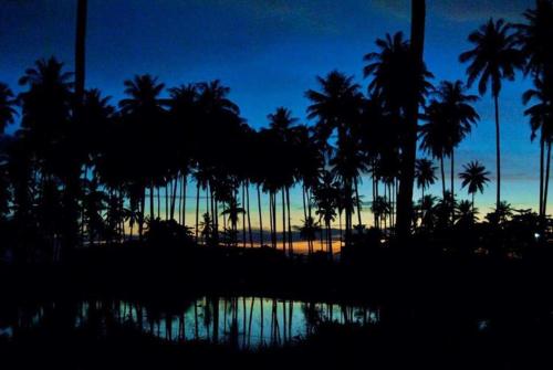 a group of palm trees in front of a sunset at Peace Lanta Mansion in Ko Lanta