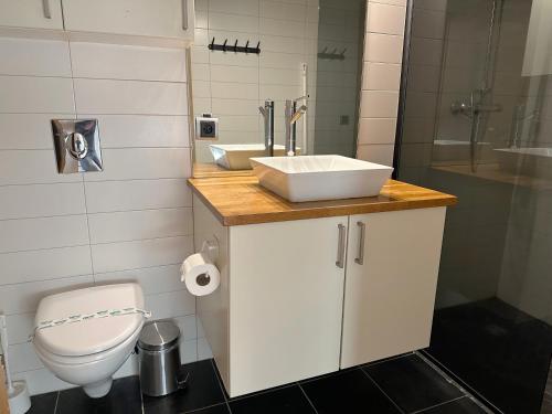 a small bathroom with a sink and a toilet at Reykjavík Central Apartments in Reykjavík