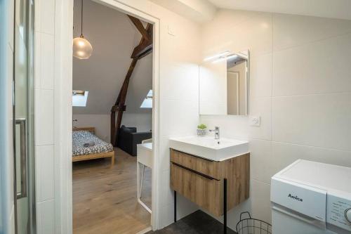 une salle de bain avec un lavabo et un miroir dans l'établissement Le Refuge Palois, à Pau