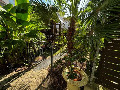 a garden with palm trees and a fence at Residenz Royal in Sandhausen