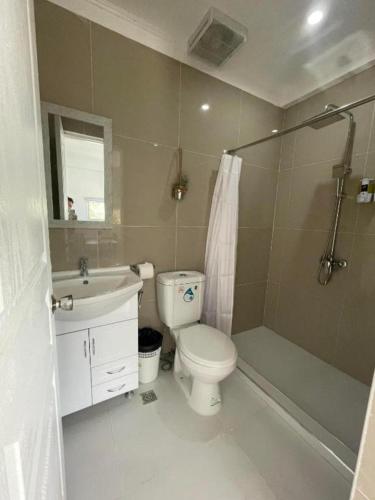 a bathroom with a toilet and a sink and a shower at Lopez Beach Resort in Sipalay