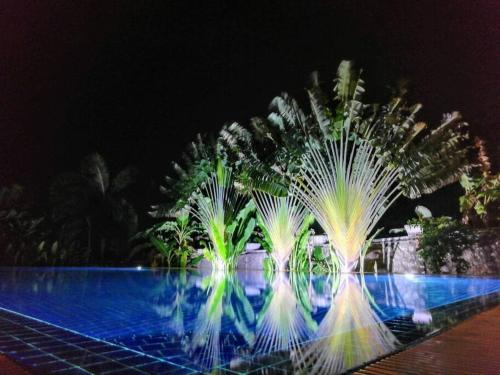 a pool with palm trees at night with lights at Villa 'The Blue House' - Qbungalows in Kep