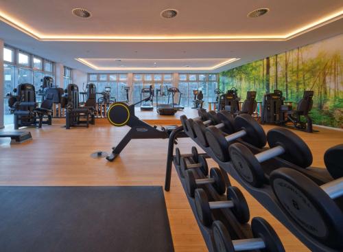 a gym with rows of exercise equipment and a mural at Dorint Resort & Spa Bad Brückenau in Staatsbad Brückenau