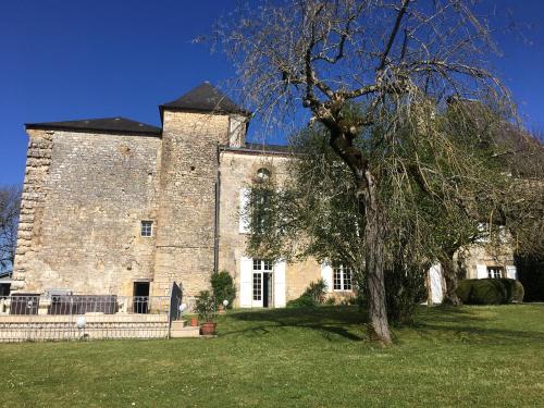 a large brick building with a tree in front of it at CHATEAU DE SAINTE ORSE in Sainte-Orse