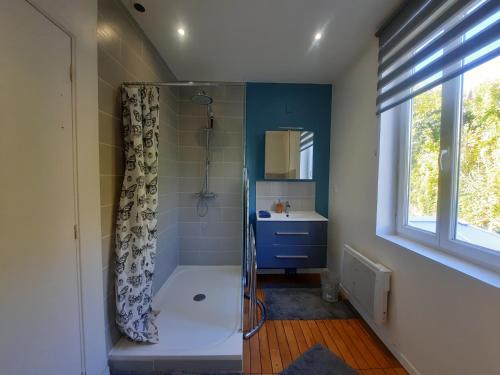 ein Bad mit einer Dusche und einem Waschbecken in der Unterkunft Maison de charme à Rouen Max 10 personnes in Rouen