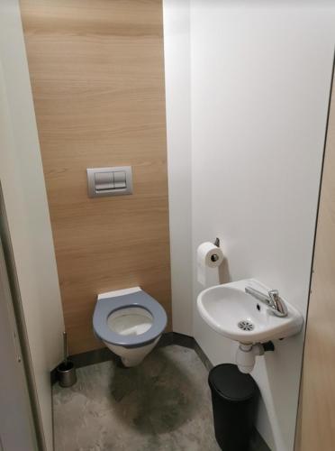 une petite salle de bain avec toilettes et lavabo dans l'établissement La Parenthèse Meslandaise, à Mesland
