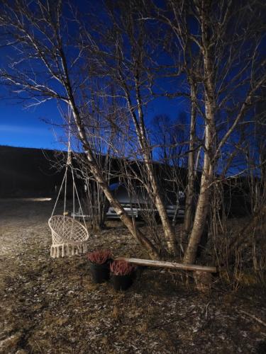 a swing hanging from a tree at night at Idyllisk hus med sauna og jacuzzi, Lyngen in Nord-Lenangen