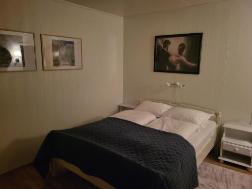 a bedroom with a bed and a picture on the wall at Idyllisk hus med sauna og jacuzzi, Lyngen in Nord-Lenangen