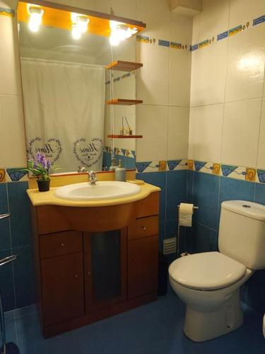 a bathroom with a toilet and a sink and a mirror at Zambujal Sun in Sesimbra