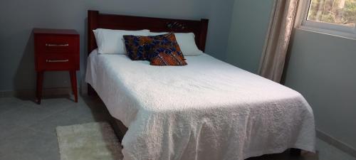 een bed met twee kussens en een raam bij Agnes\ apartments in Kampala