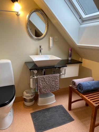 een badkamer met een wastafel en een spiegel bij Country flat in Roskilde