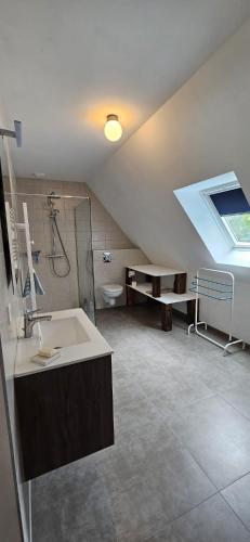 une salle de bain avec un lavabo, une douche et des toilettes dans l'établissement Corps de ferme traditionnel, à Lembach
