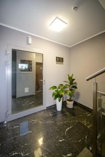 a room with a mirror and a plant in it at Maya's Apartments in Gdańsk