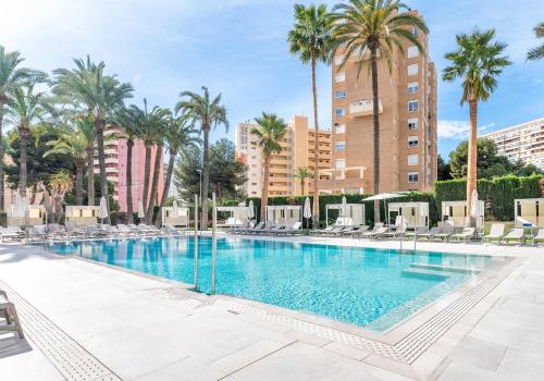 uma grande piscina com cadeiras e palmeiras em Port Alicante City & Beach em Alicante