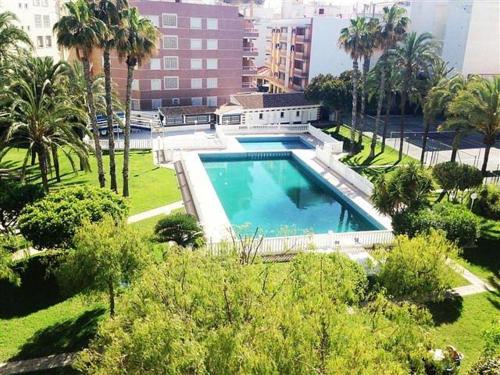 Golden Apartment in Palm Park