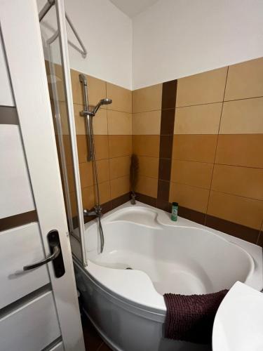 a bath tub in a bathroom with a shower at Modern two bedroom flat with balcony in Lenti