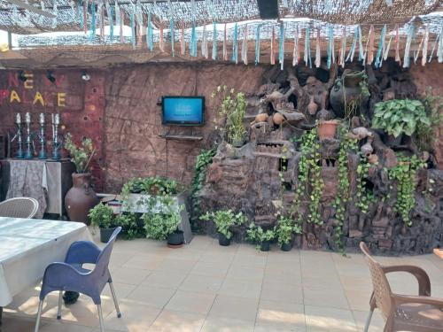 a room with a wall with plants and a tv at New Palace Hotel in Cairo