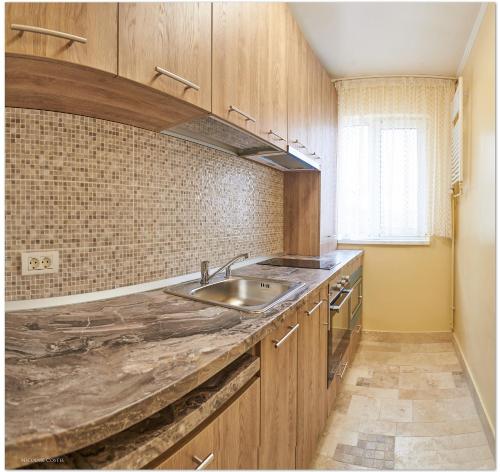 eine Küche mit einer Spüle und einer Arbeitsplatte in der Unterkunft Star Apartment in Timişoara
