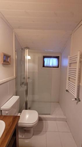 a white bathroom with a toilet and a shower at Hostería Villarino in San Martín de los Andes