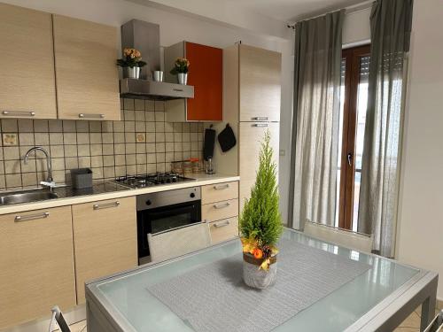 eine Küche mit einem Tisch und einer Pflanze darauf in der Unterkunft Casa Julie Latina Scalo in Monticchio