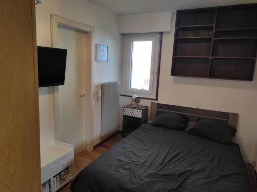 TV a/nebo společenská místnost v ubytování Petit paradis cocooning avec balcon à Torgon