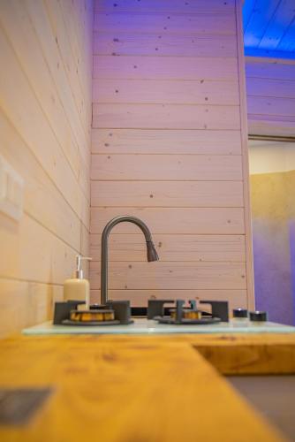 a kitchen sink with a faucet on a counter at ARTEMIDE "Corte Segreta" B&B SUITE SPA in San Cipriano Picentino
