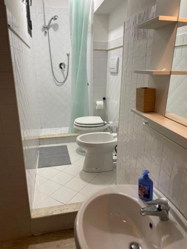 フィレンツェにあるCasa La Porta Rossaのトイレ、洗面台、シャワー付きのバスルーム