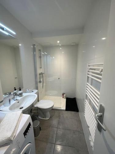 une salle de bain blanche avec des toilettes et un lavabo dans l'établissement Appartement JAZZ Vienne nord, à Vienne