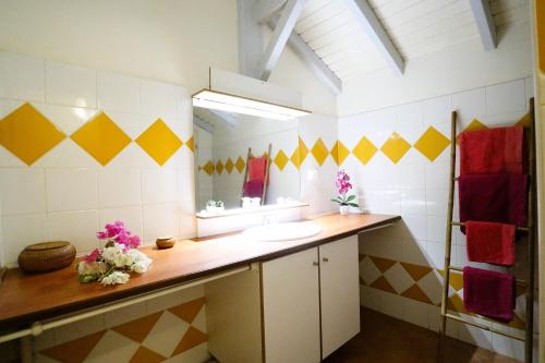 ein Bad mit einem Waschbecken und einem Spiegel in der Unterkunft Le Lagon d'Anolis in Sainte-Anne