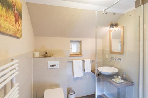 a bathroom with a sink and a toilet and a shower at Harzer Wiesenbaude in Braunlage