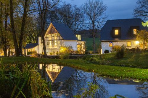 a house with a pond in front of it at Michels Mühle - up de lütt Deel in Brilon