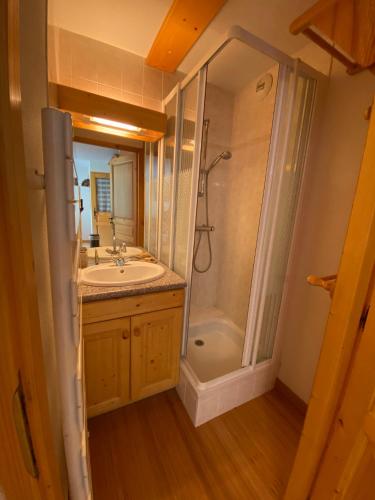 une salle de bain avec un lavabo et une douche dans l'établissement Appartement pied des pistes, 4 personnes, 1 chambre, 1 coin montagne - GRAN06, à Beaufort