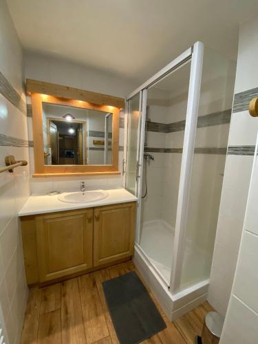 une salle de bain avec douche et lavabo dans l'établissement Appartement cosy, 6 personnes, 2 chambres - ECRINI04, à Beaufort