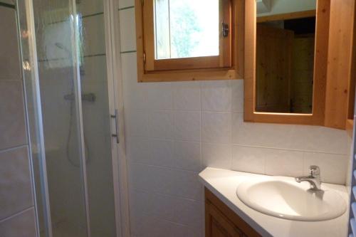 une salle de bain avec une douche, un lavabo et un miroir dans l'établissement Appartement spacieux, 8 personnes, 3 chambres, 1 mezzanine - ISALINE11, à Beaufort