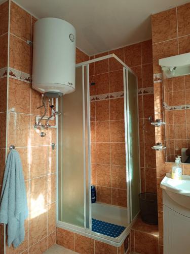 a shower with a glass door in a bathroom at Vila Jovana A in Rogljevo