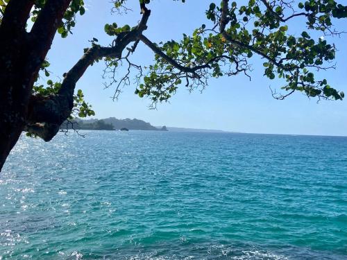 a view of the ocean from a tree at The Lodge at Punta Rica- Hilltop Eco-Lodge with Views & Pool in Bastimentos