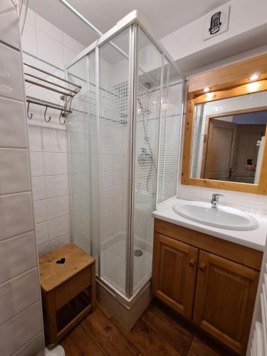 une salle de bain avec douche et lavabo dans l'établissement Appartement confortable, 4 personnes, 1 chambre, 1 coin montagne - ALPINA03, à Beaufort