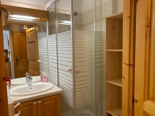 La salle de bains est pourvue d'un lavabo et d'une douche en verre. dans l'établissement Appartement pied des pistes, 4 personnes, 1 chambre - MONT02, à Beaufort