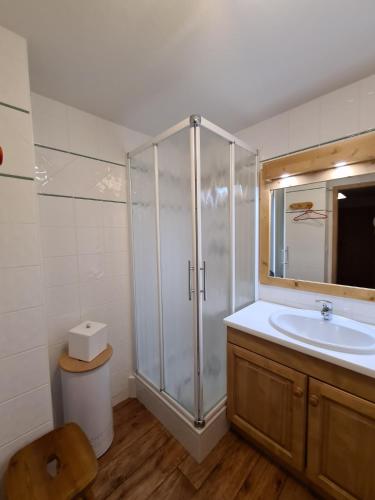une salle de bain avec douche et lavabo dans l'établissement Appartement cosy, 6 personnes, 2 chambres - MONTA12, à Beaufort