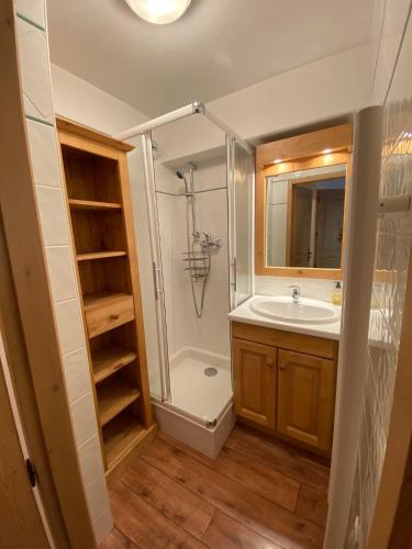 une salle de bain avec douche et lavabo dans l'établissement Appartement chaleureux, 4 personnes, 1 chambre, 1 coin montagne - MONTA11, à Beaufort