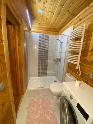 ein Bad mit einer Dusche, einem WC und einer Waschmaschine in der Unterkunft Sosenkowe Zacisze in Ciche