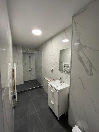 a bathroom with a white sink and a shower at Karlsburg Studio in Alba Iulia