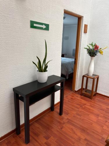 uma mesa preta com uma planta na parede em Hotel San Enrique em Salamanca