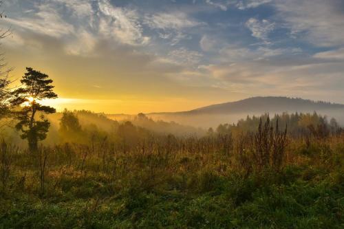 a foggy field with a tree and the sun in the background at Krystyna in Bystre