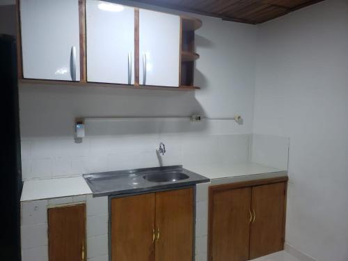 a kitchen with a sink and wooden cabinets at Ciudad del Este - Departamento con 2 habitaciones, Paraguay in Ciudad del Este