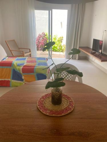 a plant in a vase on a table in a room at Apartamento Morro do Careca in Natal